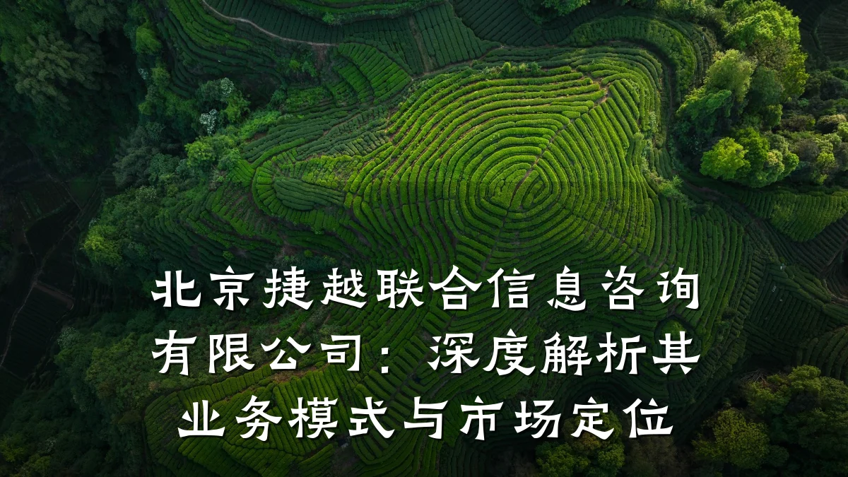 北京捷越联合信息咨询有限公司：深度解析其业务模式与市场定位