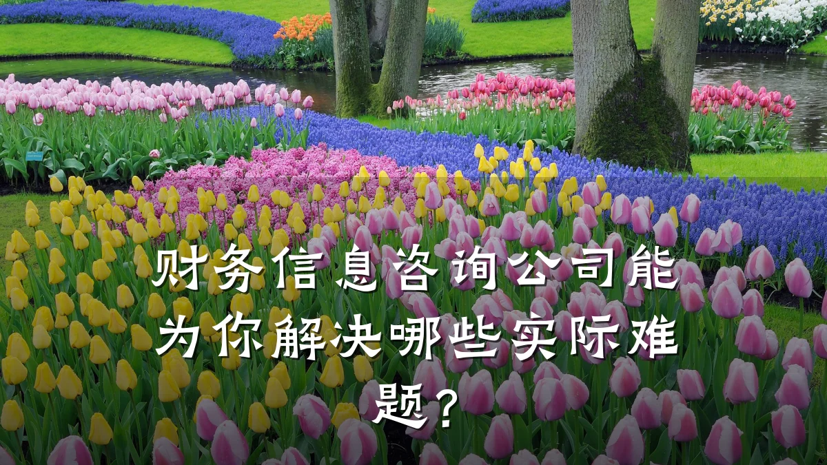 财务信息咨询公司能为你解决哪些实际难题？