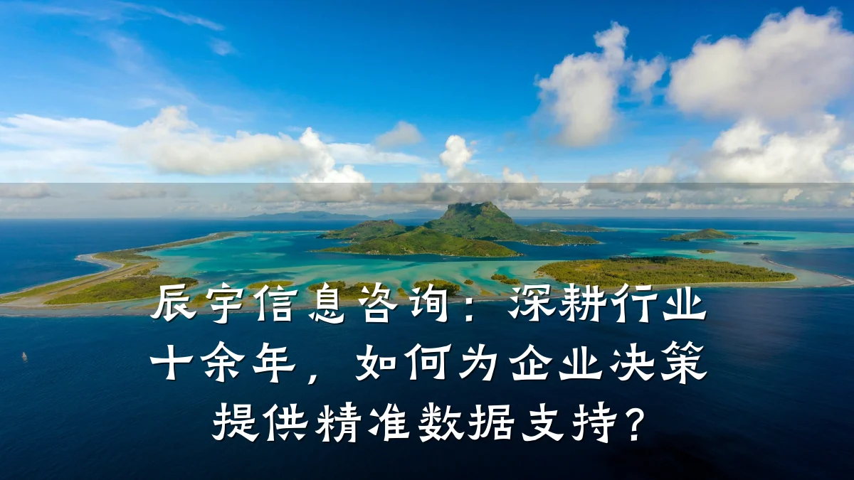 辰宇信息咨询：深耕行业十余年，如何为企业决策提供精准数据支持？