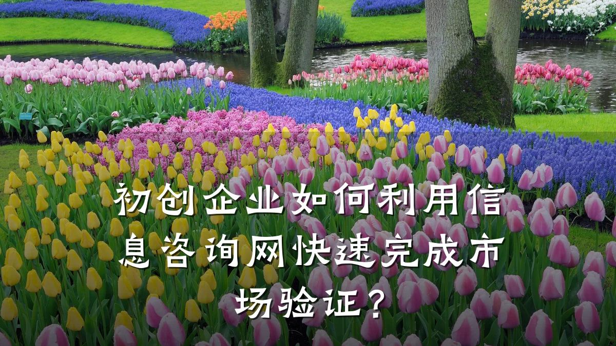 初创企业如何利用信息咨询网快速完成市场验证？