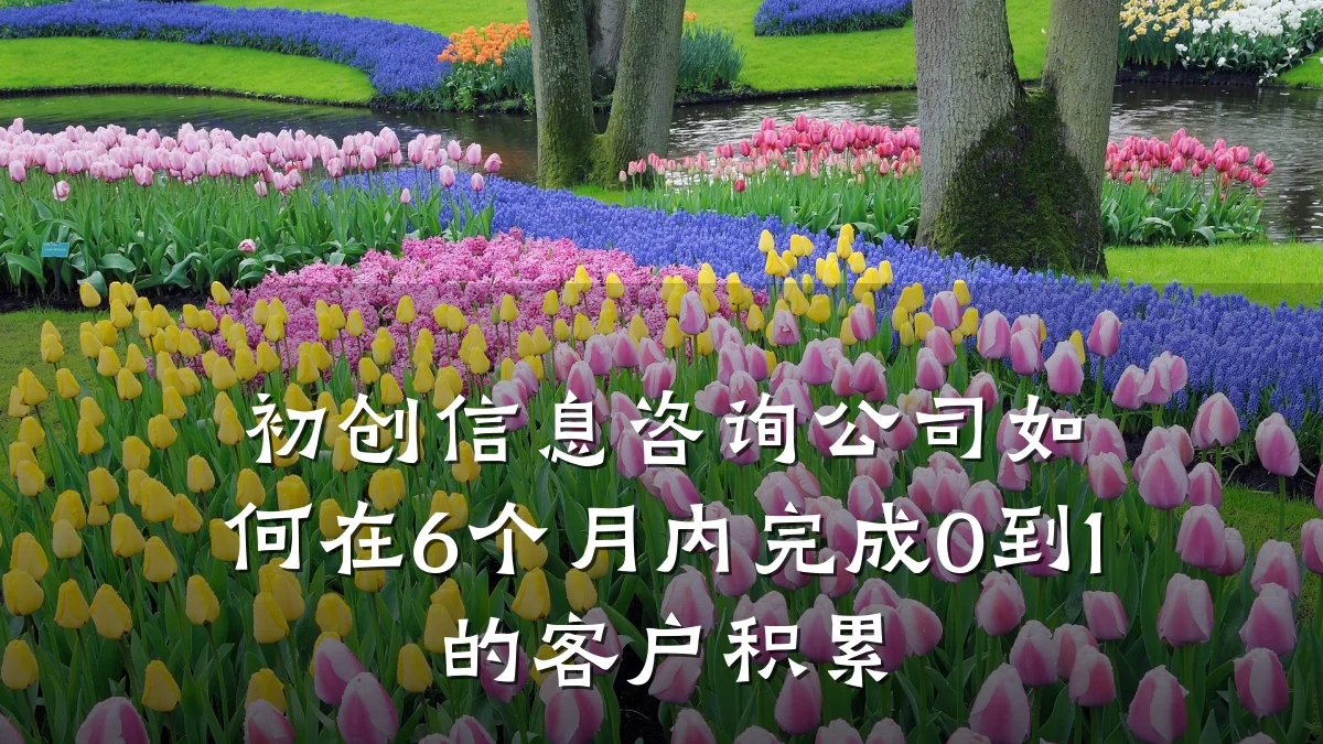 初创信息咨询公司如何在6个月内完成0到1的客户积累