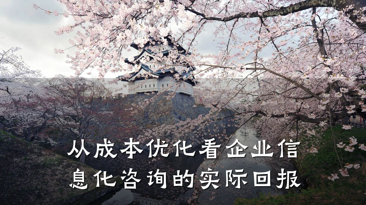 从成本优化看企业信息化咨询的实际回报
