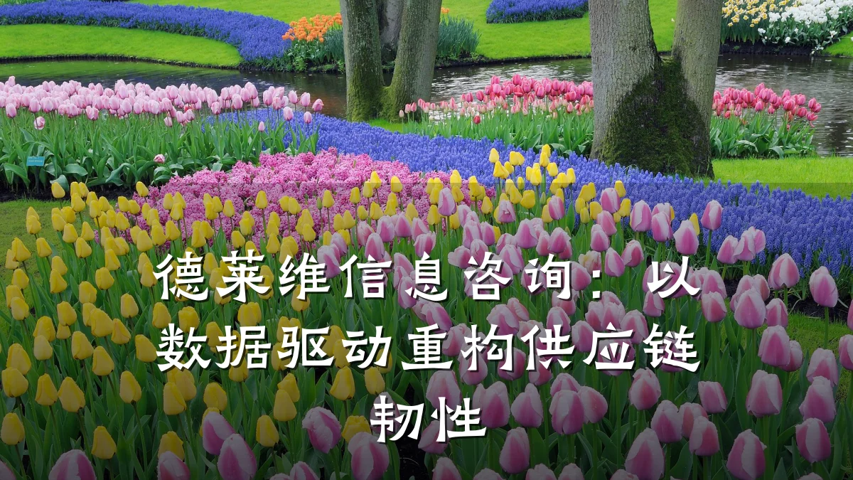 德莱维信息咨询：以数据驱动重构供应链韧性