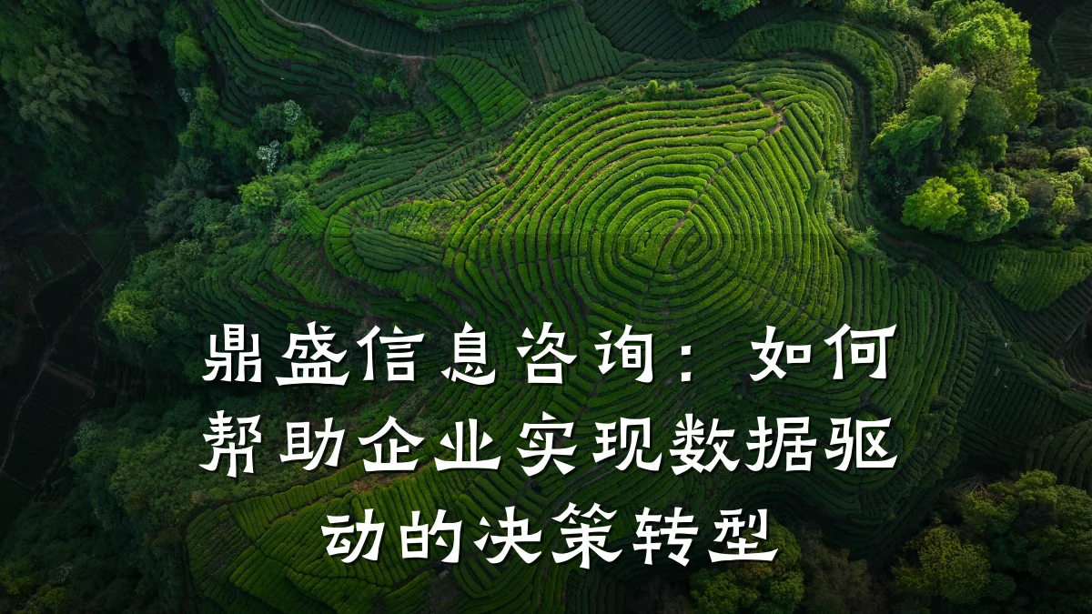 鼎盛信息咨询：如何帮助企业实现数据驱动的决策转型