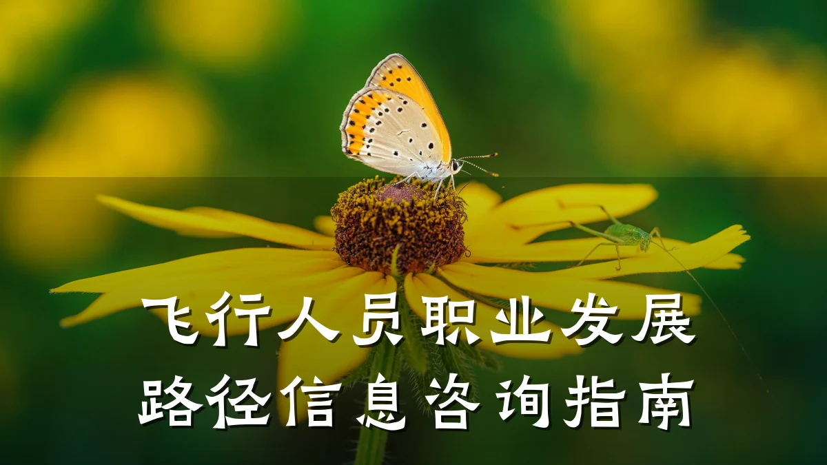 飞行人员职业发展路径信息咨询指南