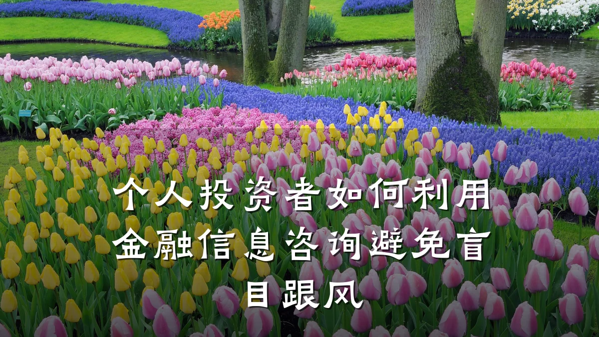 个人投资者如何利用金融信息咨询避免盲目跟风