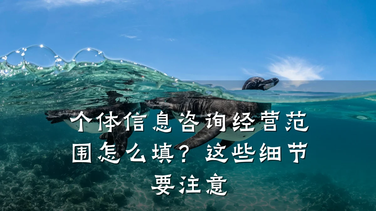 个体信息咨询经营范围怎么填？这些细节要注意