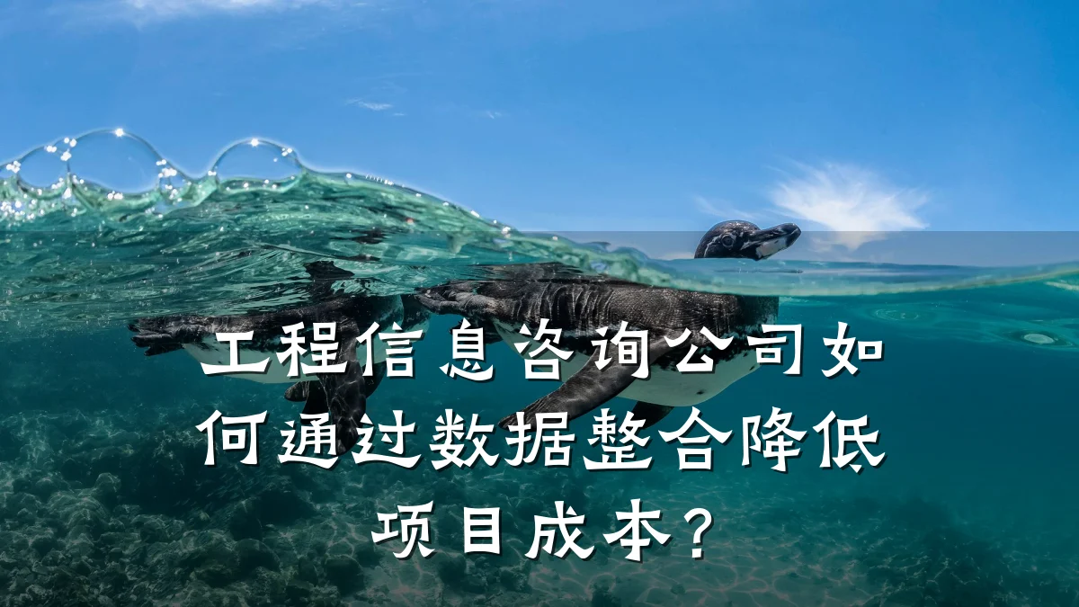 工程信息咨询公司如何通过数据整合降低项目成本？
