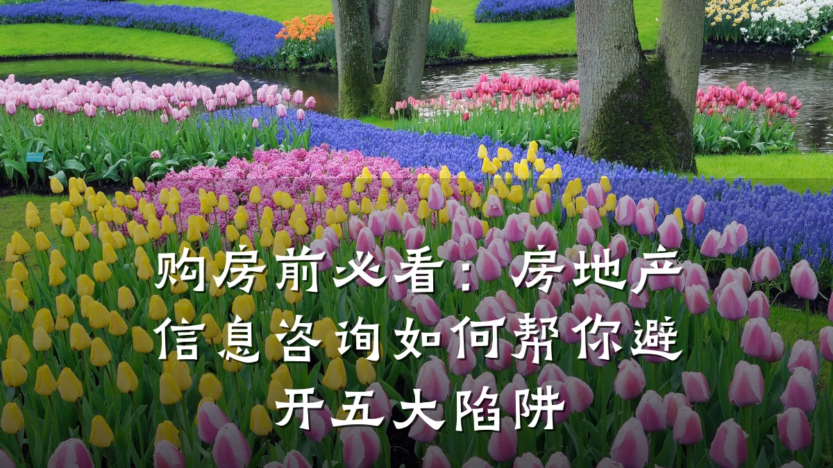 购房前必看：房地产信息咨询如何帮你避开五大陷阱