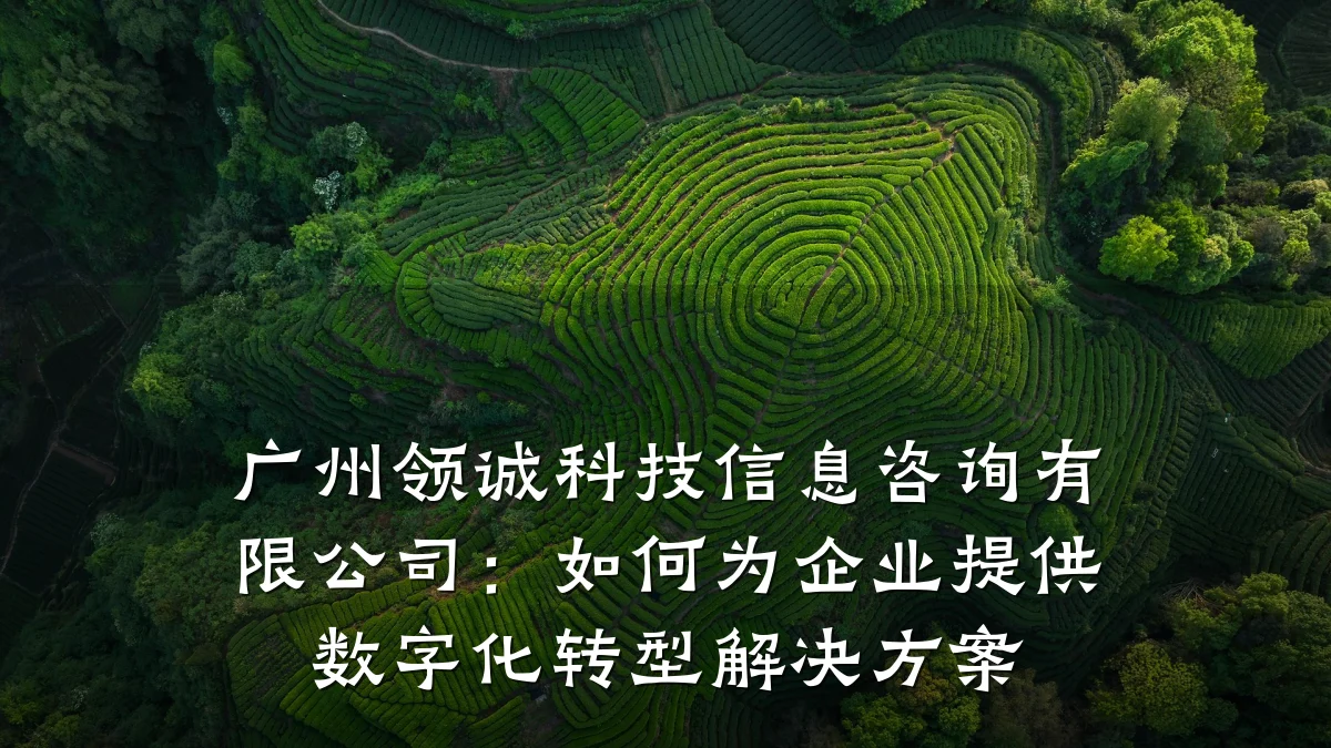 广州领诚科技信息咨询有限公司：如何为企业提供数字化转型解决方案