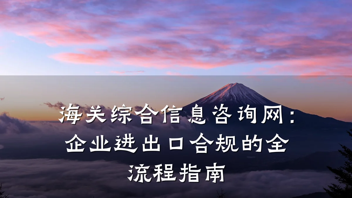 海关综合信息咨询网：企业进出口合规的全流程指南