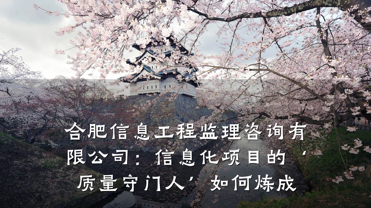 合肥信息工程监理咨询有限公司：信息化项目的‘质量守门人’如何炼成