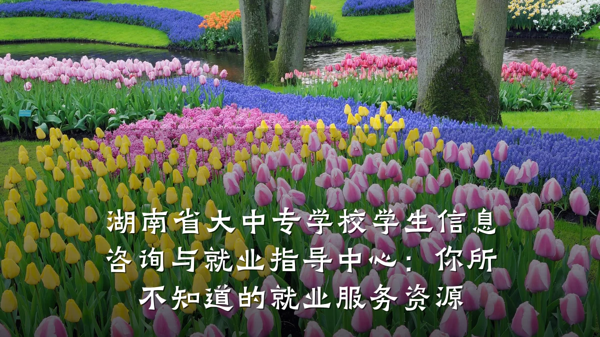 湖南省大中专学校学生信息咨询与就业指导中心：你所不知道的就业服务资源