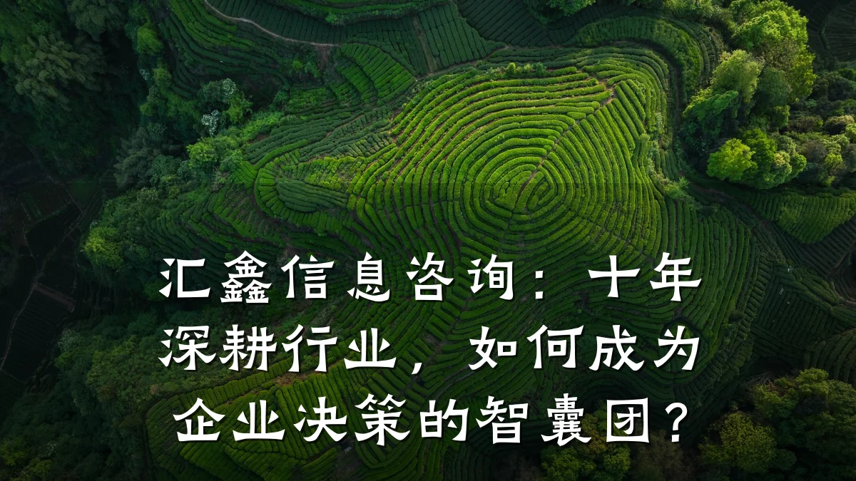 汇鑫信息咨询：十年深耕行业，如何成为企业决策的智囊团？