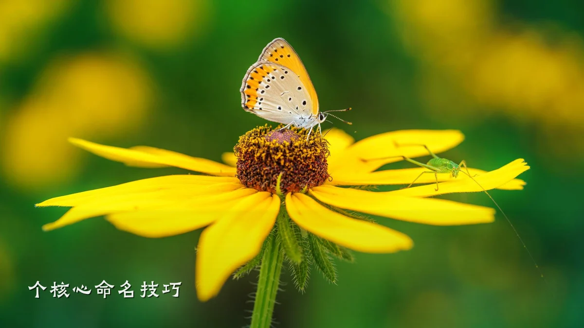 个核心命名技巧