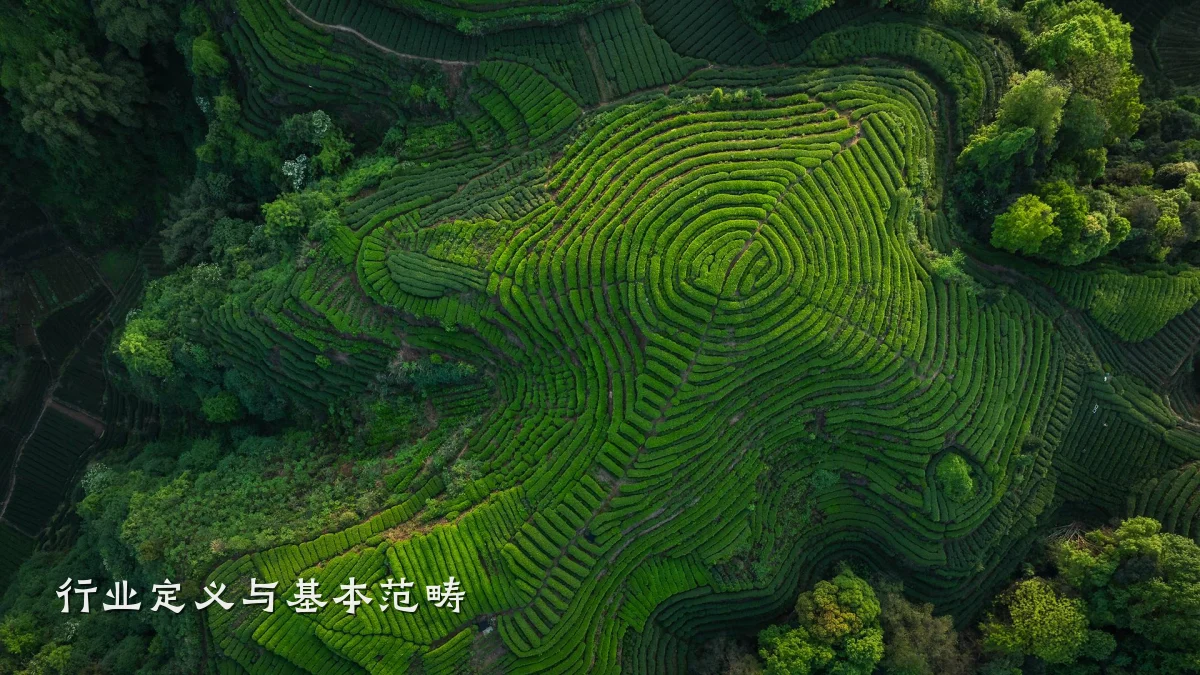 行业定义与基本范畴