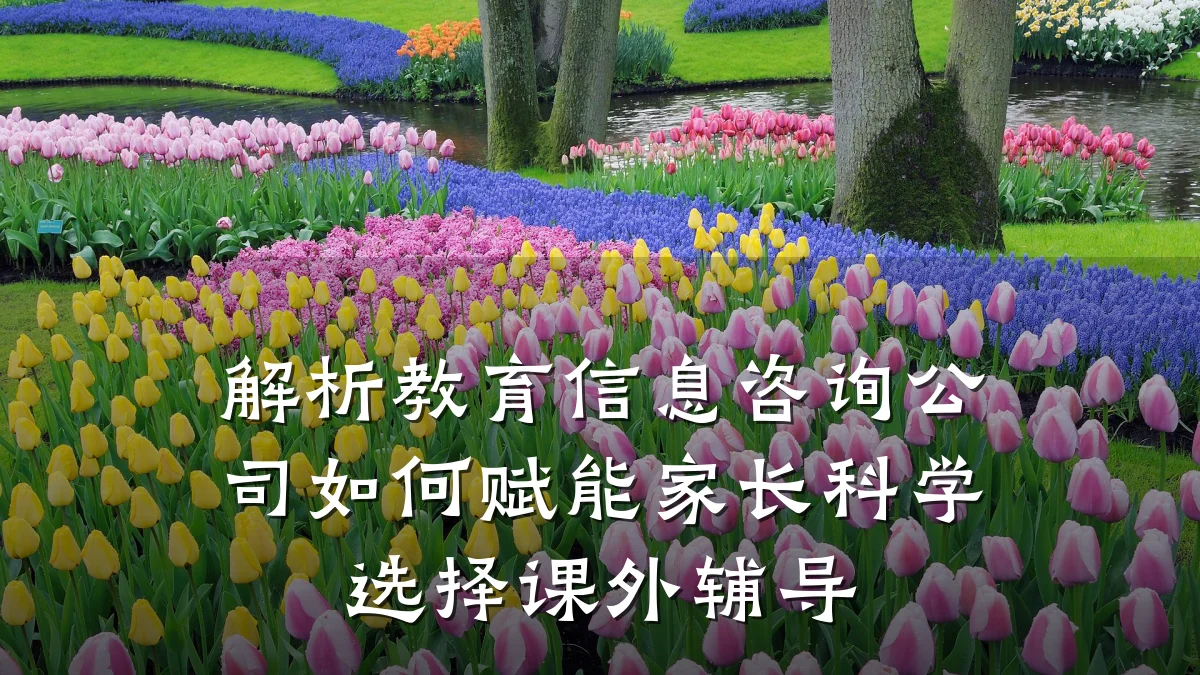 解析教育信息咨询公司如何赋能家长科学选择课外辅导