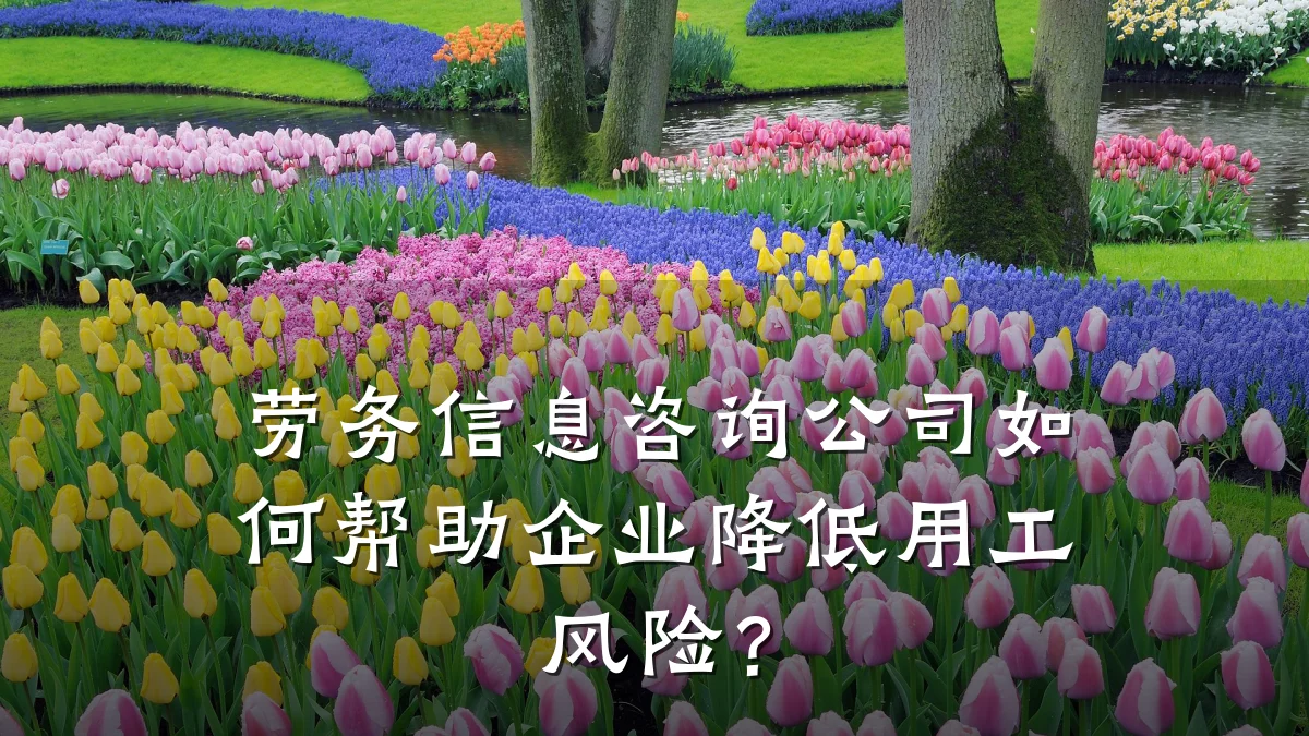 劳务信息咨询公司如何帮助企业降低用工风险？