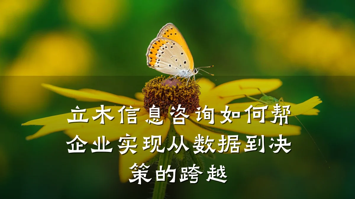立木信息咨询如何帮企业实现从数据到决策的跨越