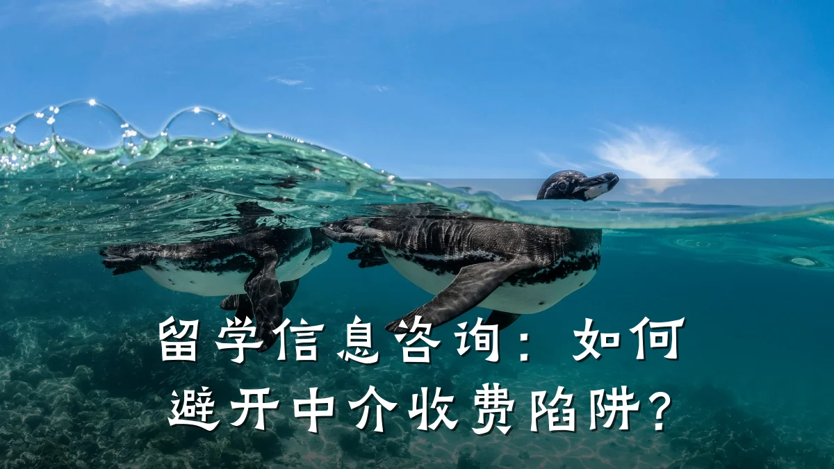留学信息咨询：如何避开中介收费陷阱？