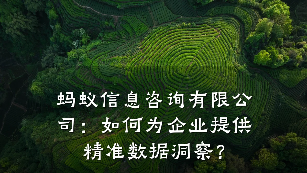 蚂蚁信息咨询有限公司：如何为企业提供精准数据洞察？