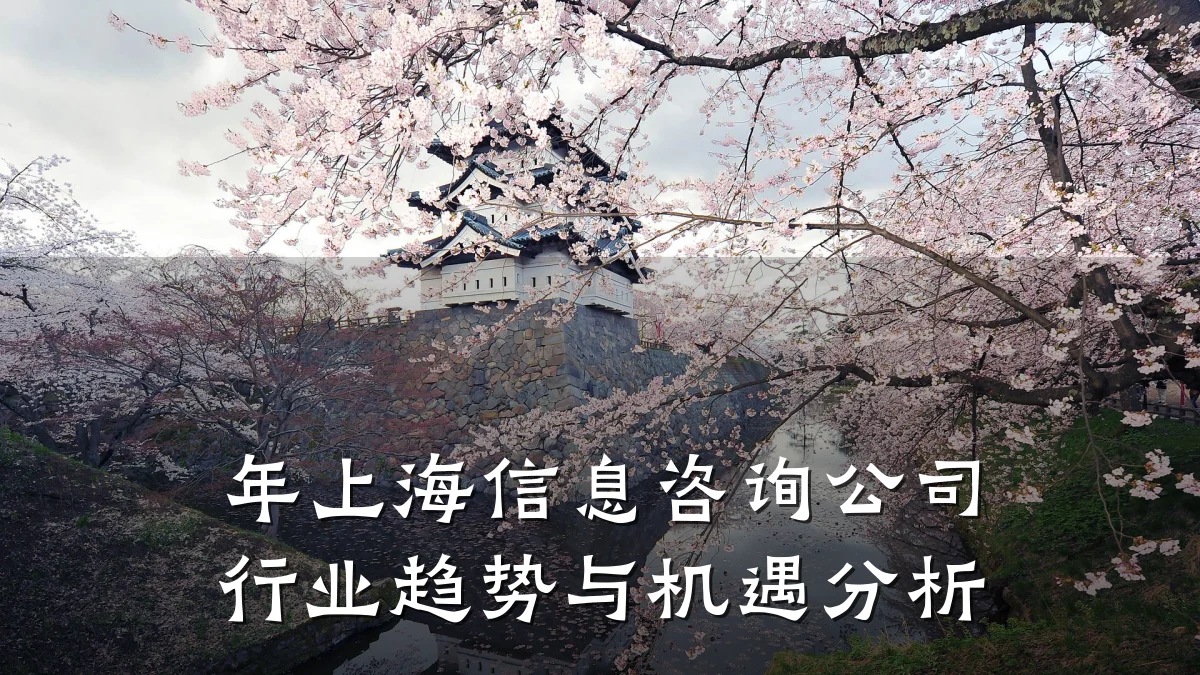 年上海信息咨询公司行业趋势与机遇分析