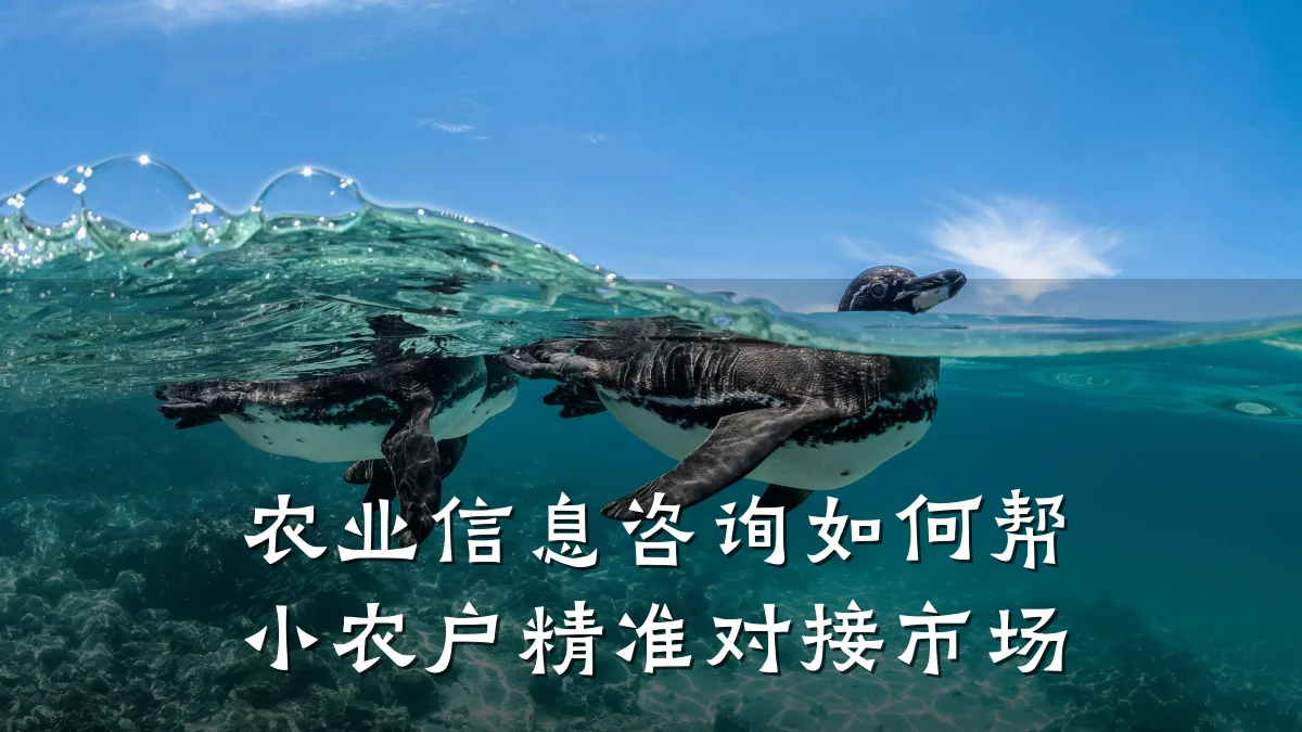 农业信息咨询如何帮小农户精准对接市场