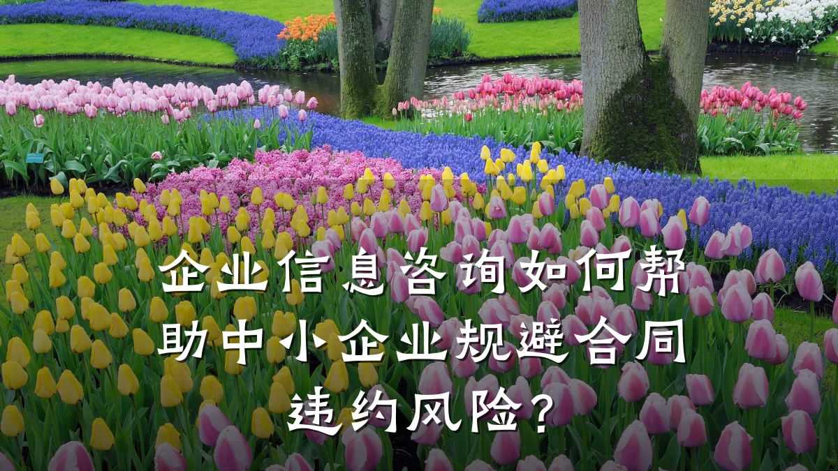 企业信息咨询如何帮助中小企业规避合同违约风险？