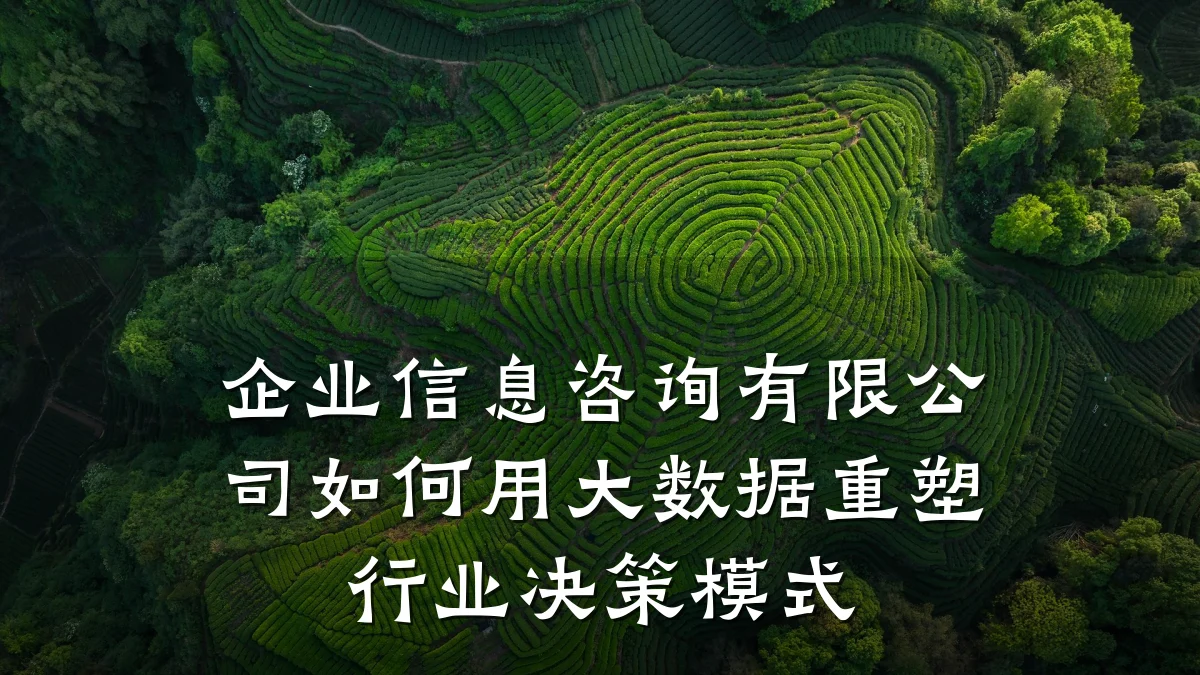 企业信息咨询有限公司如何用大数据重塑行业决策模式