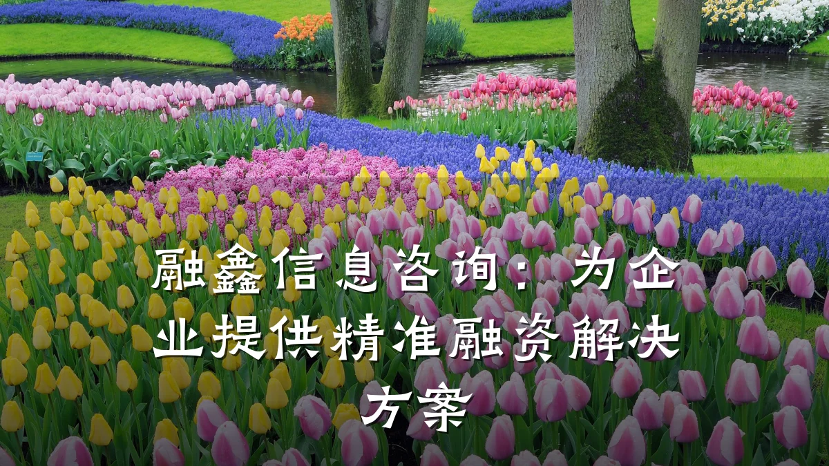 融鑫信息咨询：为企业提供精准融资解决方案