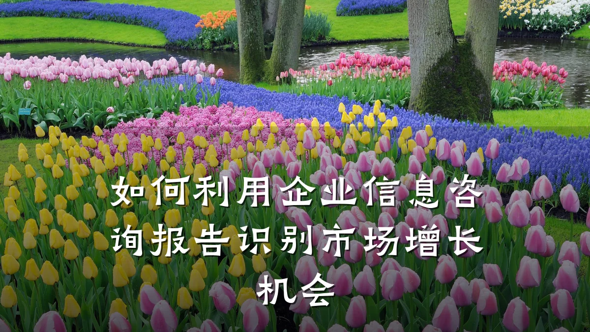 如何利用企业信息咨询报告识别市场增长机会