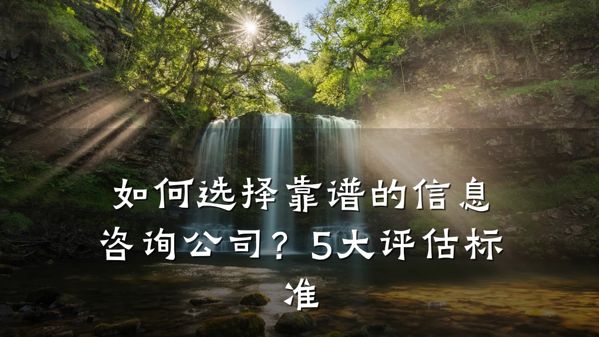 如何选择靠谱的信息咨询公司？5大评估标准