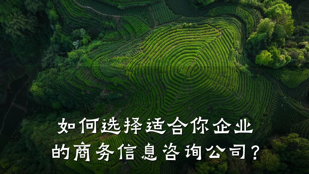 如何选择适合你企业的商务信息咨询公司？
