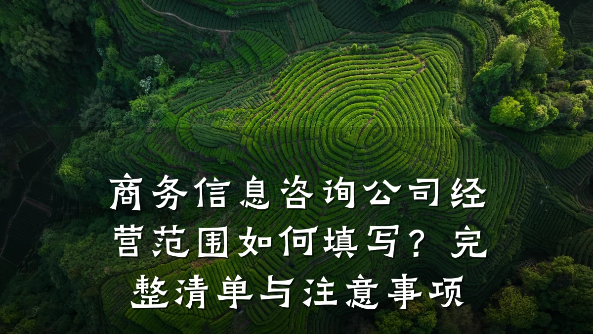 商务信息咨询公司经营范围如何填写？完整清单与注意事项