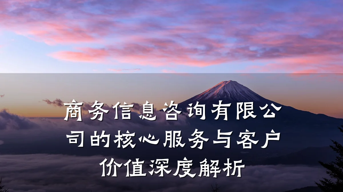 商务信息咨询有限公司的核心服务与客户价值深度解析