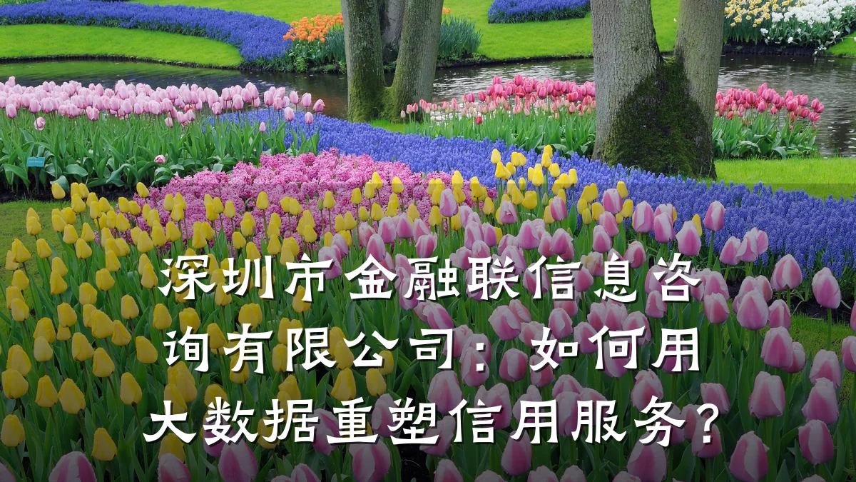 深圳市金融联信息咨询有限公司：如何用大数据重塑信用服务？