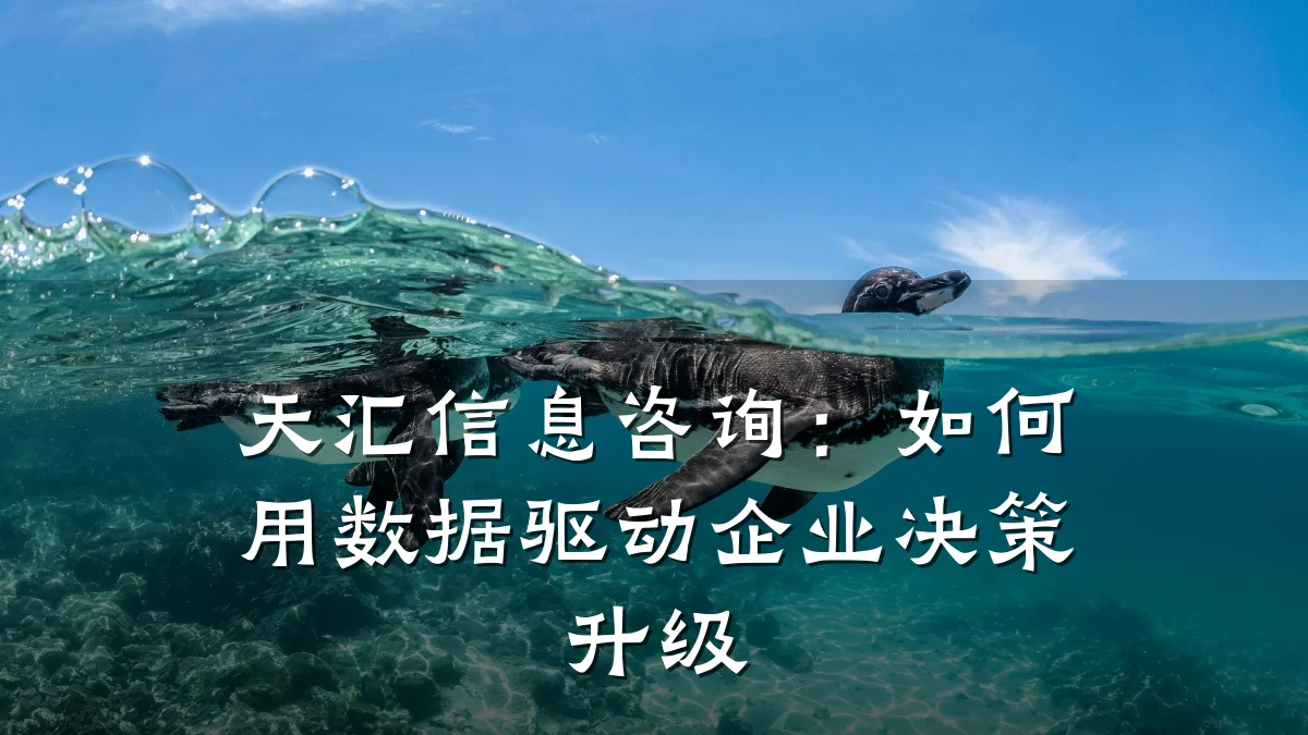 天汇信息咨询：如何用数据驱动企业决策升级