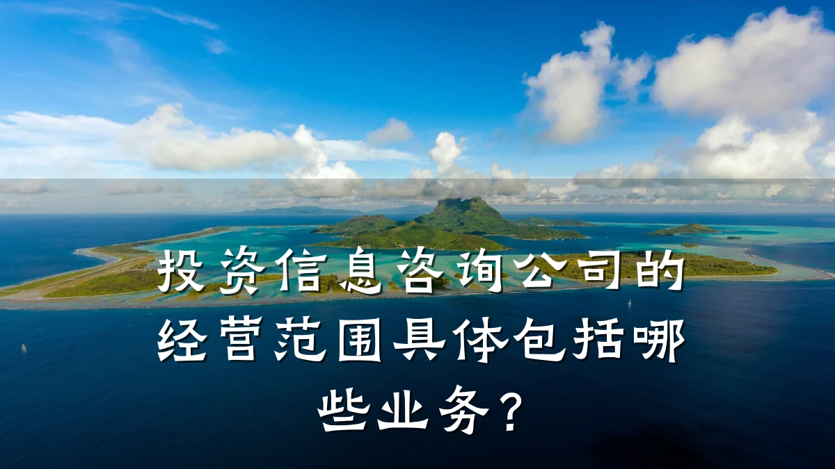 投资信息咨询公司的经营范围具体包括哪些业务？