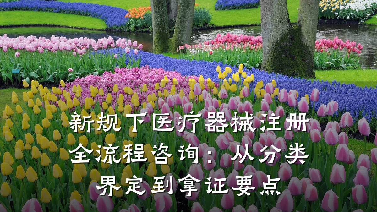 新规下医疗器械注册全流程咨询：从分类界定到拿证要点
