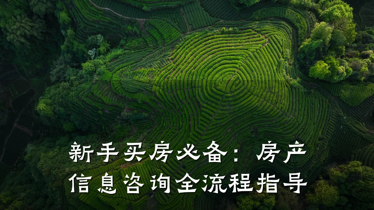 新手买房必备：房产信息咨询全流程指导