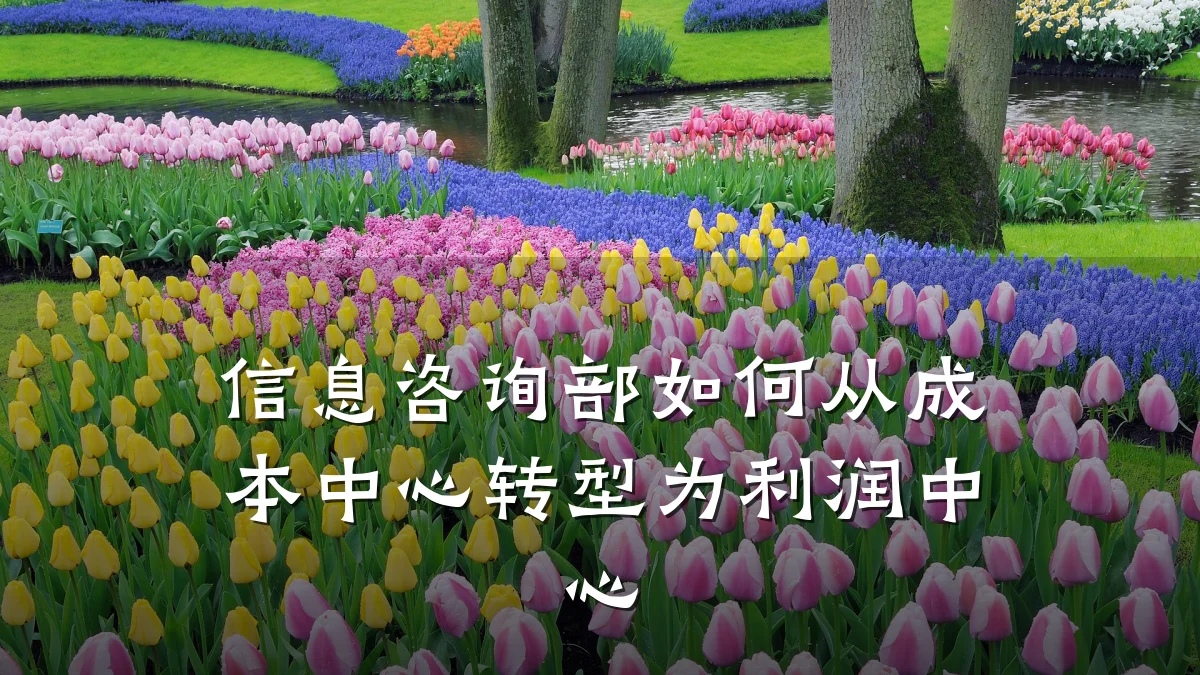 信息咨询部如何从成本中心转型为利润中心