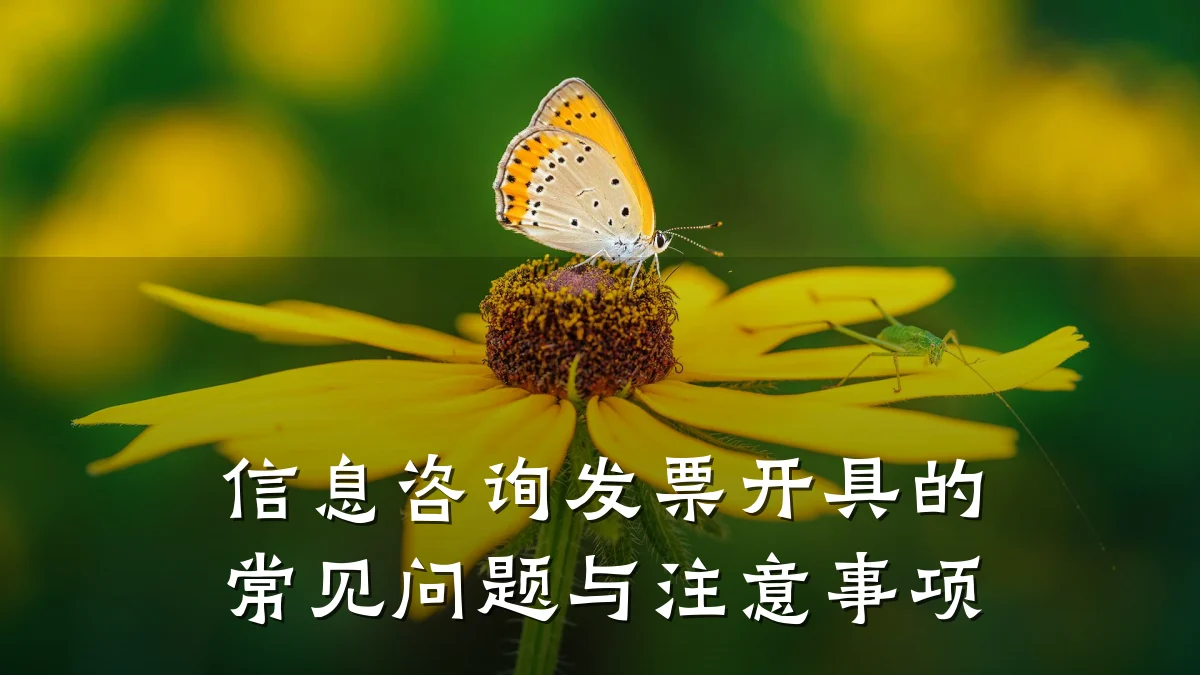信息咨询发票开具的常见问题与注意事项