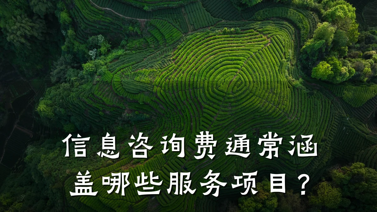 信息咨询费通常涵盖哪些服务项目？