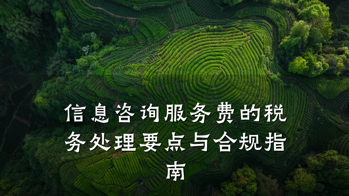 信息咨询服务费的税务处理要点与合规指南