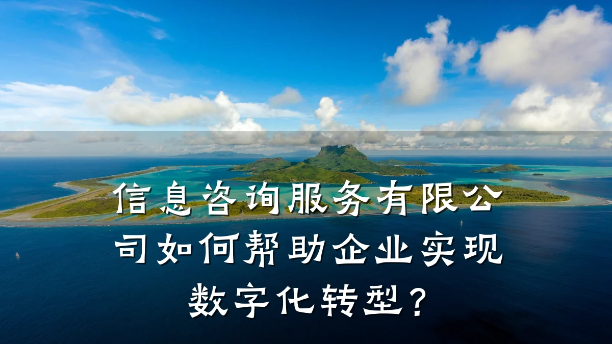 信息咨询服务有限公司如何帮助企业实现数字化转型？