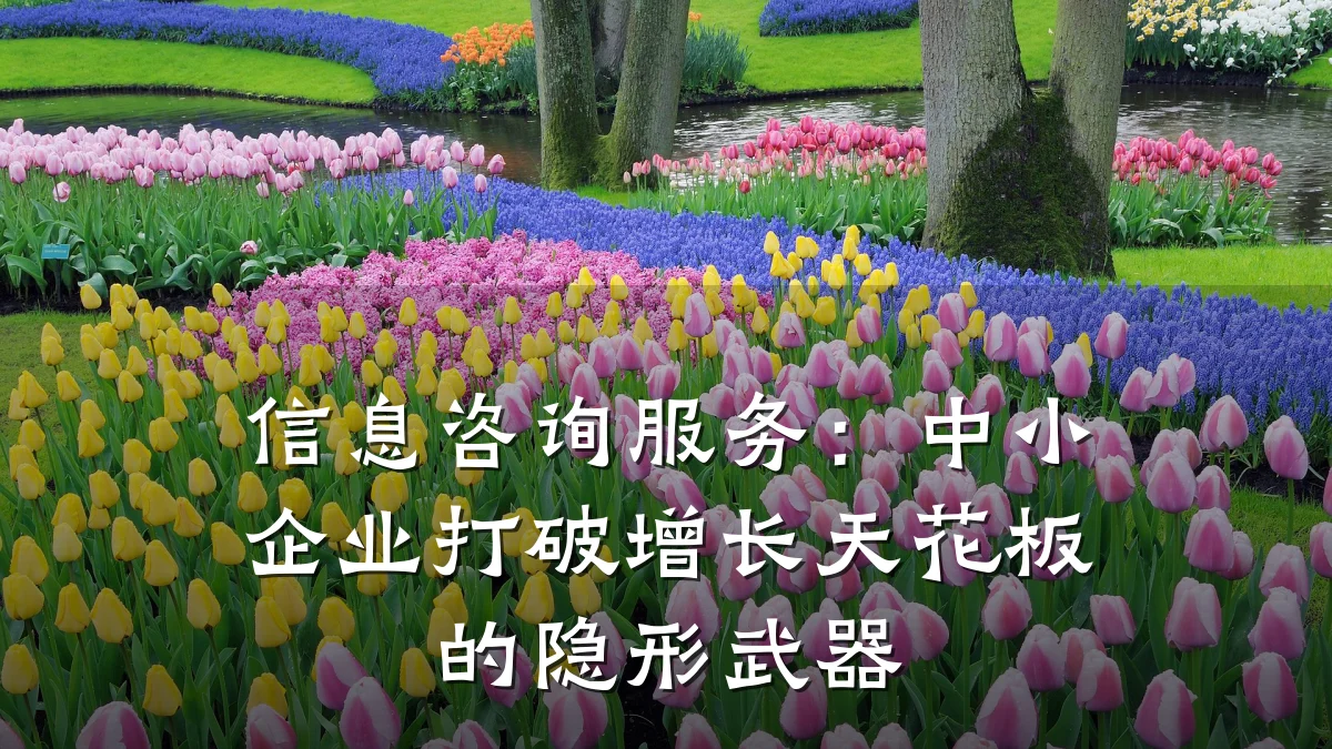 信息咨询服务：中小企业打破增长天花板的隐形武器