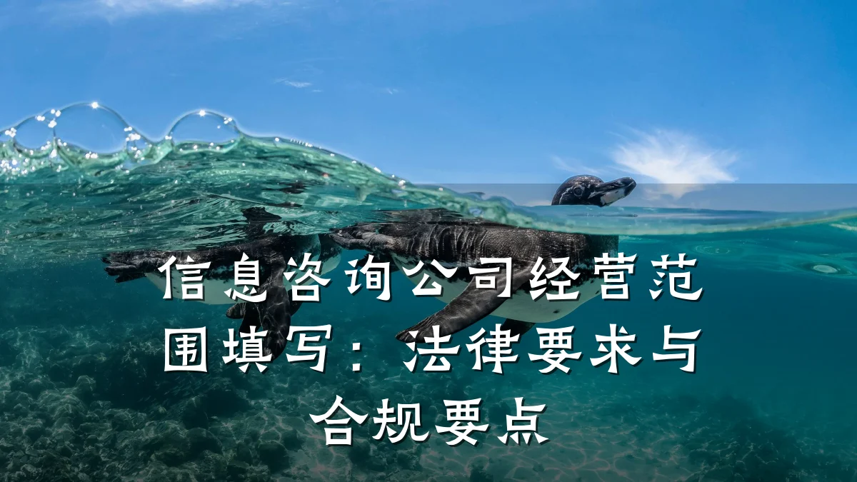 信息咨询公司经营范围填写：法律要求与合规要点