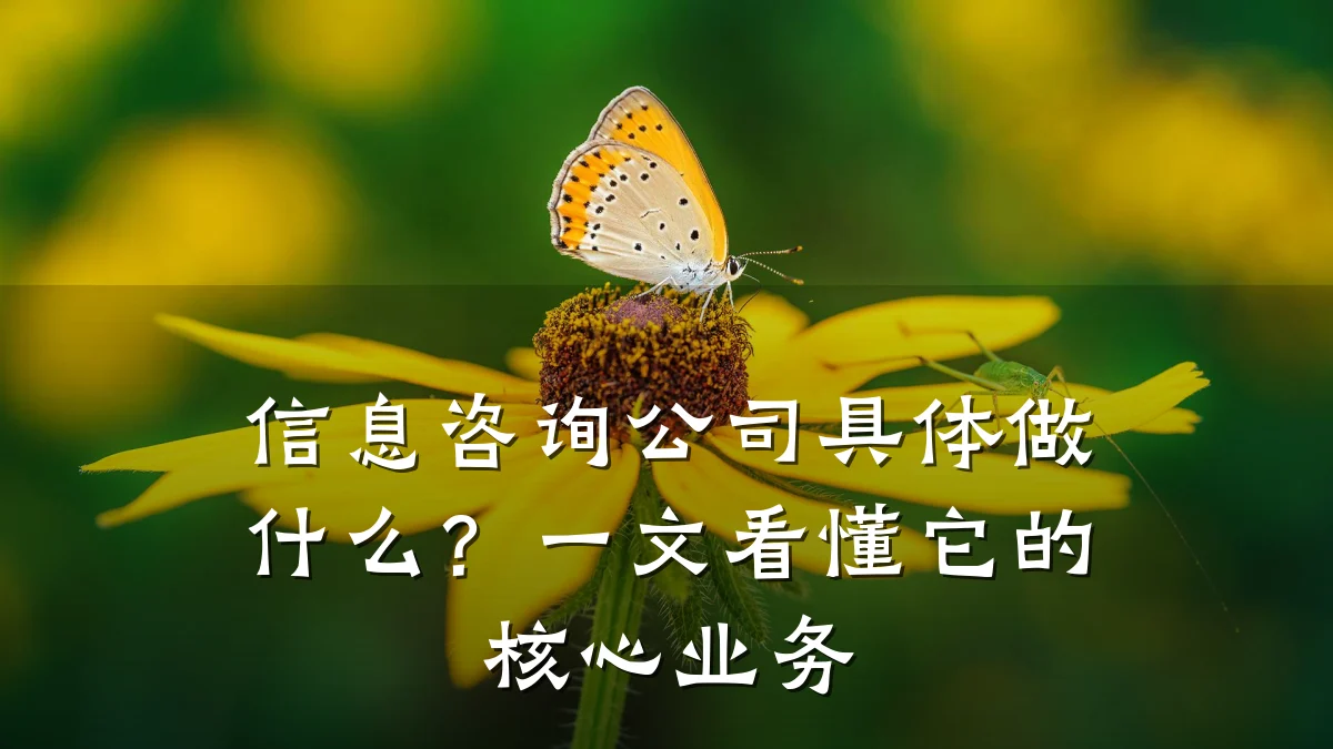 信息咨询公司具体做什么？一文看懂它的核心业务