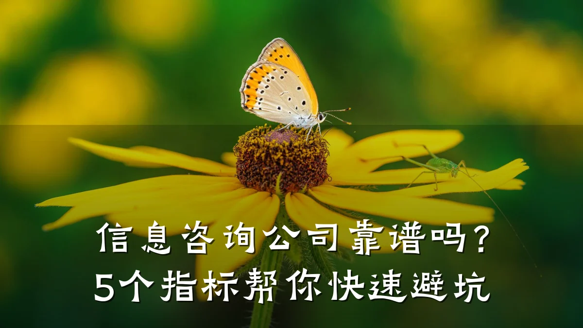 信息咨询公司靠谱吗？5个指标帮你快速避坑