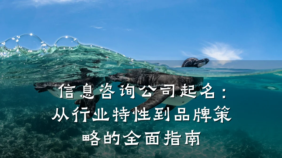 信息咨询公司起名：从行业特性到品牌策略的全面指南